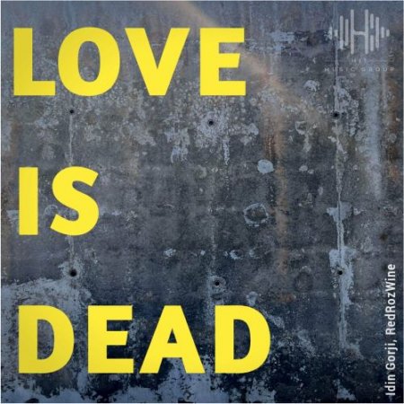 Idin Gorji & RedRozWine - Love Is Dead