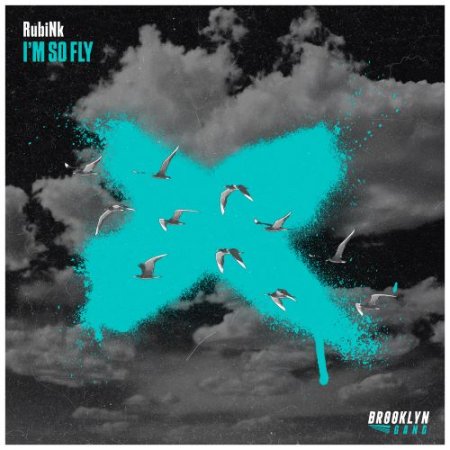 RubiNk - I'm So Fly