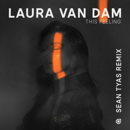 Laura Van Dam - This Feeling