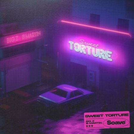 Big Z feat. B Martin - Sweet Torture