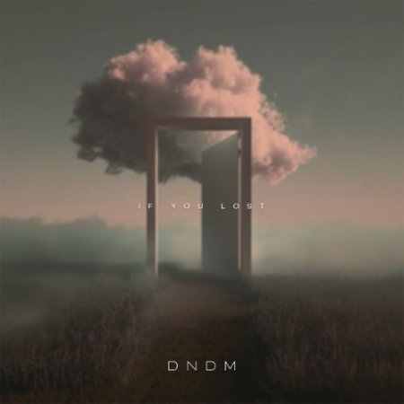 DNDM - If You Lost