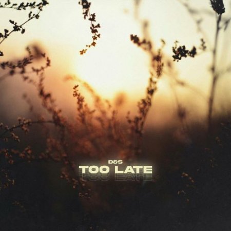 D&S - Too Late