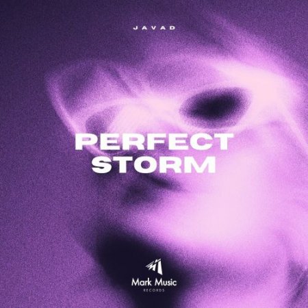 Javad - Perfect Storm