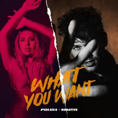 POLINA feat. NoNative - What You Want