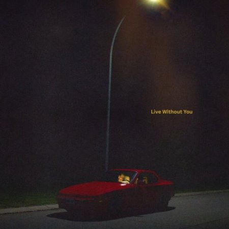 Lockyer Boys - Live Without You