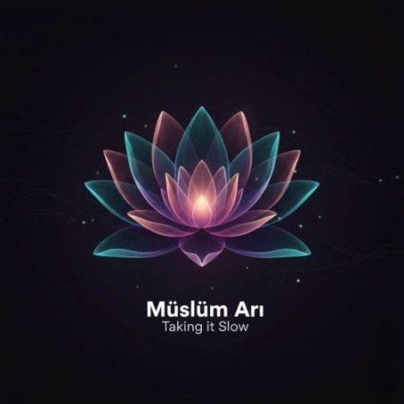 Müslüm Arı - Taking It Slow