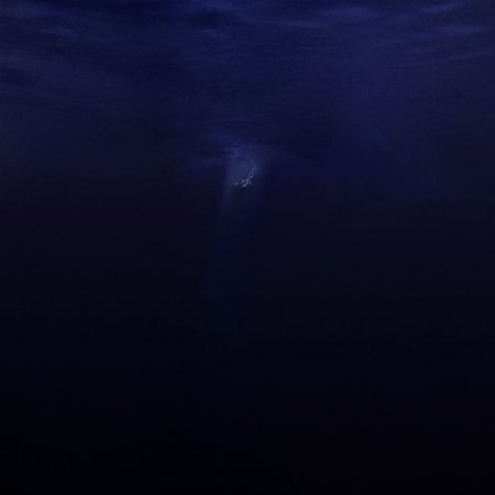Said The Sky - Petrified
