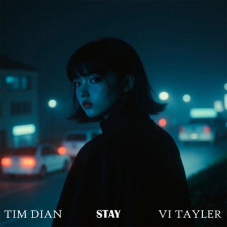 Tim Dian, Vi-Tayler - Stay