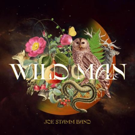 Joe Stamm Band - Ahold of My Heart